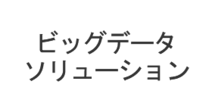 ビッグデータソリューション